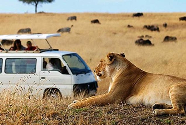 Private Guided Tours In Africa