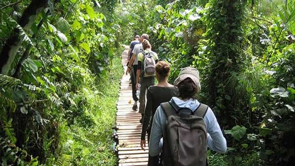 Kibale National Park Private Guided Tours In Africa