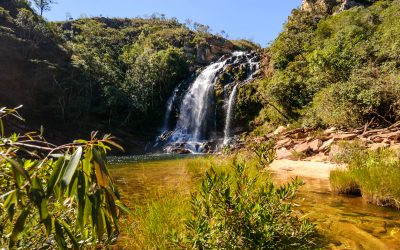5-Day Lubumbashi & Kundelungu Safari