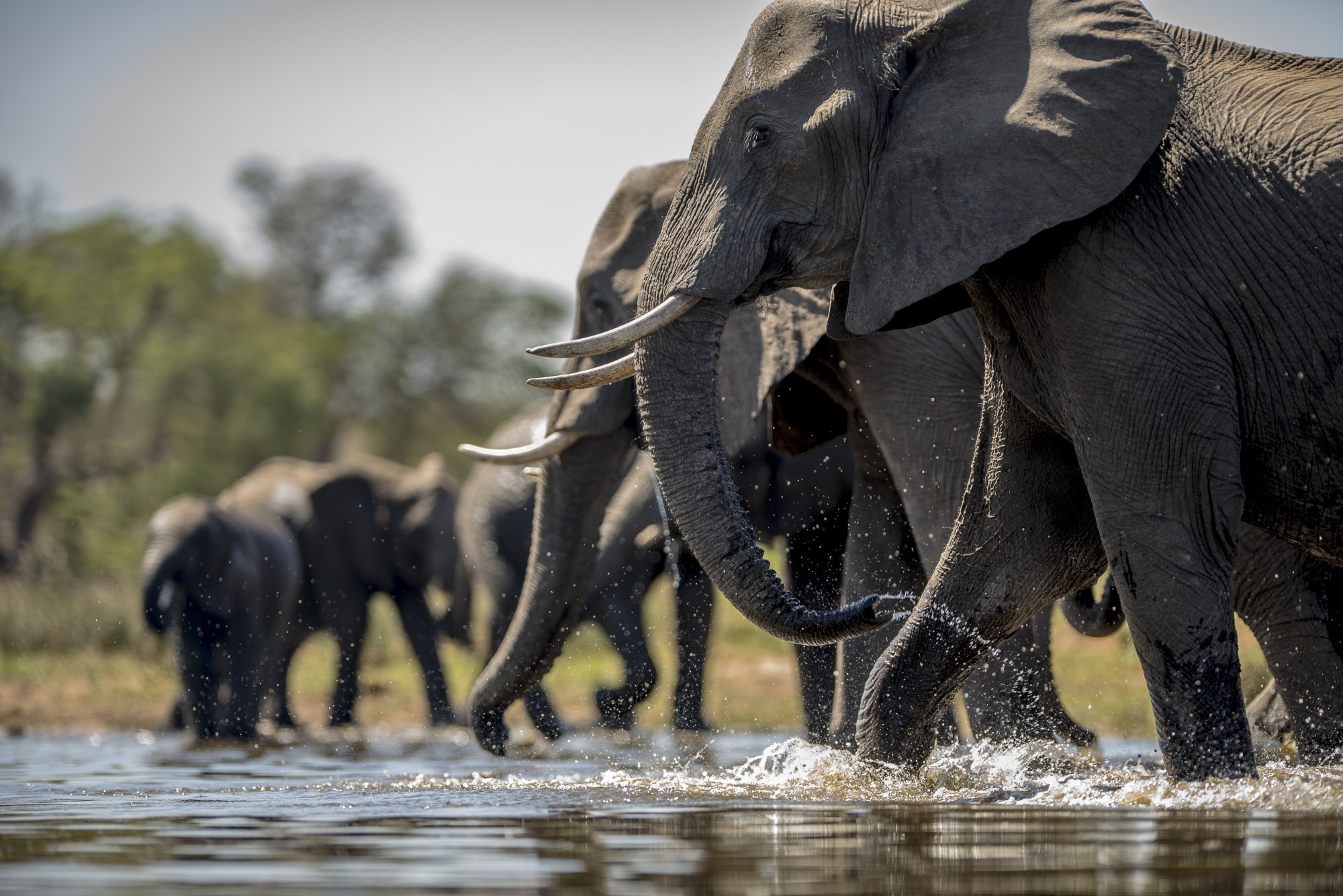 image_10_day_gorilla_safari_uganda